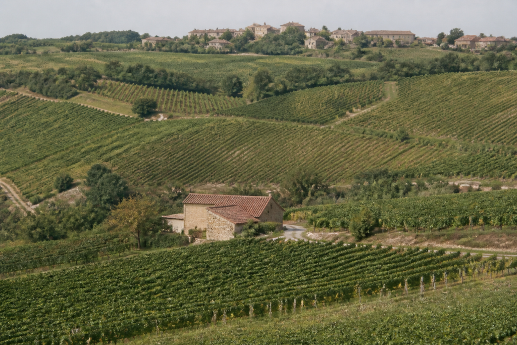 Maisons dispersees parmi vignobles et routes rurales