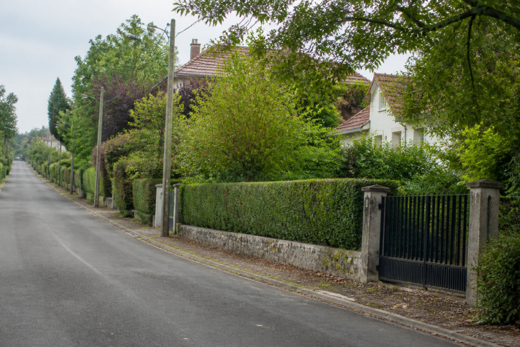 Maisons pavillonnaires verdoyantes bordant rue calme et tranquille