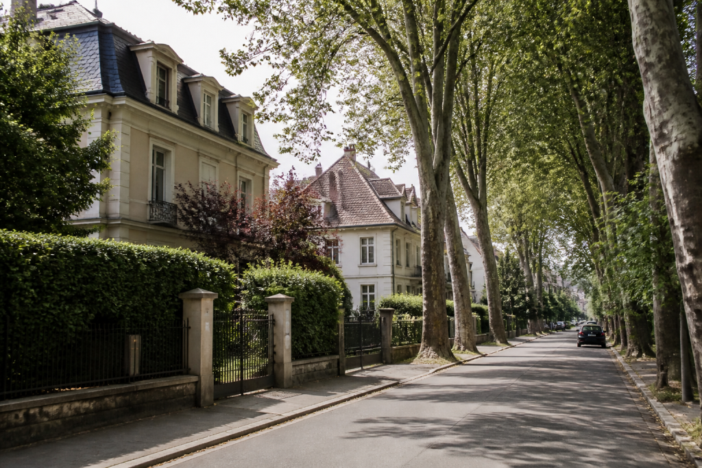 Villas spacieuses avec arbres le long rue calme Mulhouse